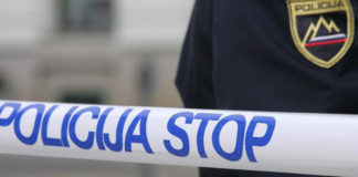 Kronika policijske postaje Domžale (od 24.2. do 1.3.2020)