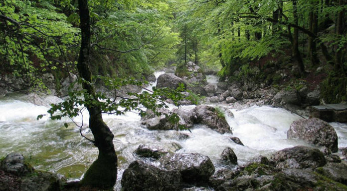 22. marec, svetovni dan voda