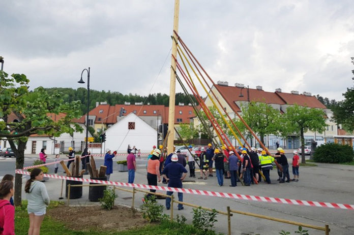 postavitev_mlaja_Menges_2018 (2)