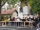 Domžale v znamenju citer
