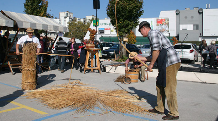 Lukovica_na_tržnici_v_Domžalah (1)