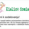 Kislice, domislice … (NOV!CE 13 2019)