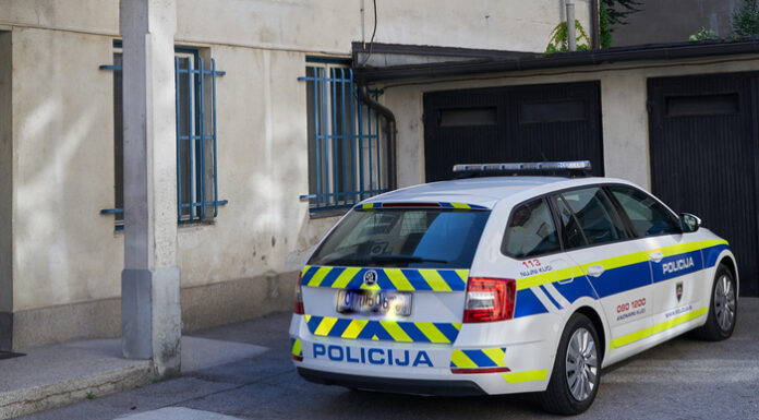 Kronika Policijske postaje Kamnik (od 18.5. do 24.5.2026)