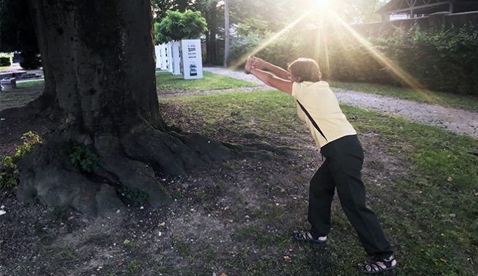 Šola zdravja - korenine