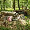 Na 27 zbirnih mestih s spomladanskimi čistilnimi akcijami zmanjšajmo negativne vplive na naš planet
