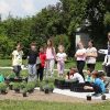 Urejanje medovitega vrta pri Češminovem parku