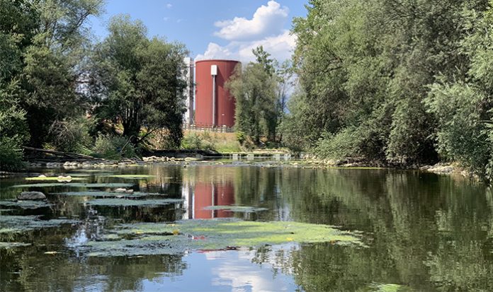 CČN in KB_foto Marjetka Levstek