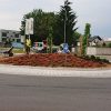Kako nam rožice sadijo? Predvsem drago!