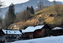 T e D n i (K) Občine Kamnik (12.2.2024)