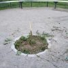 Skupaj proti vandalizmu
