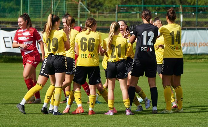 ZNK Radomlje_SFN