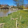Tedni(k) Občine Kamnik (28.4.2025)