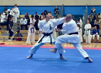 Mednarodni Karate-Do pokal Domžal 2025