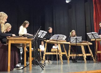 8. letni koncert Citrarske skupine Notice z gosti