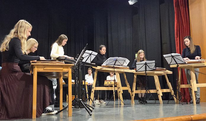 8. letni koncert Citrarske skupine Notice z gosti (1)