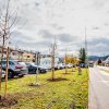 Novi drevored v Trzinu
