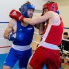 Nova Gorica Starter Kickboxing Open 2026: otroci na tatamijih in vrhunski dosežki Domžalcev