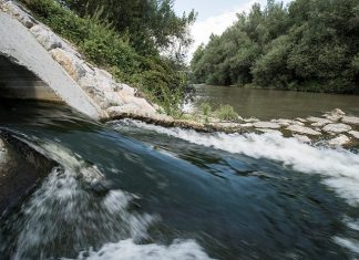 Svetovni dan voda 2026: Voda in spol