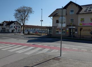 Žiga žaga, drevo preč, ne bo dalo zraka več!