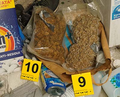 Preiskano kaznivo dejanje s področja prepovedanih drog