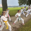 Karate duh, ”Priklon poletju”, 2026