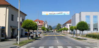 Zakaj v Domžalah drevesa niso zaželena?