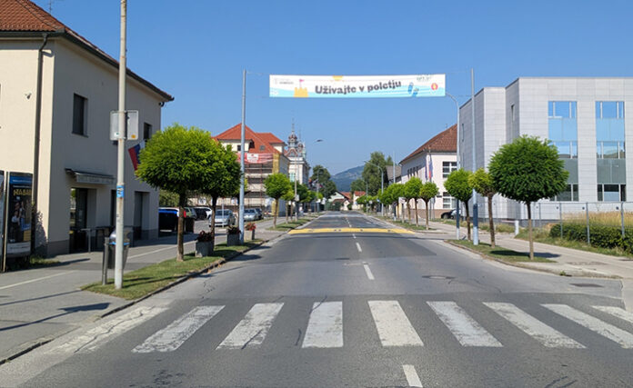 eksotična_drevesa_Domžale_28_6_2026-1