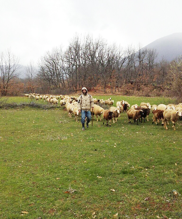 Pastir iz Makedonije